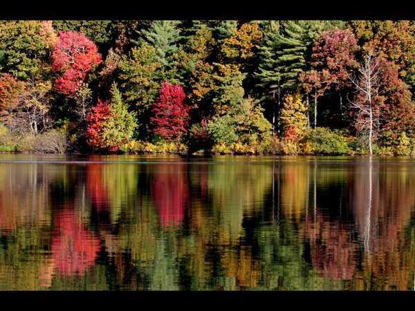 walden