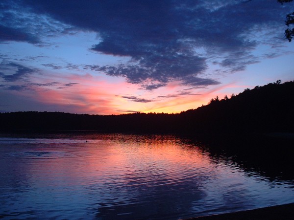 walden3