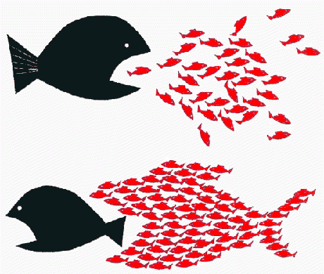 fishEatingFish