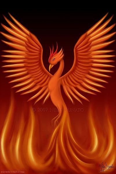 phoenix-main_Full