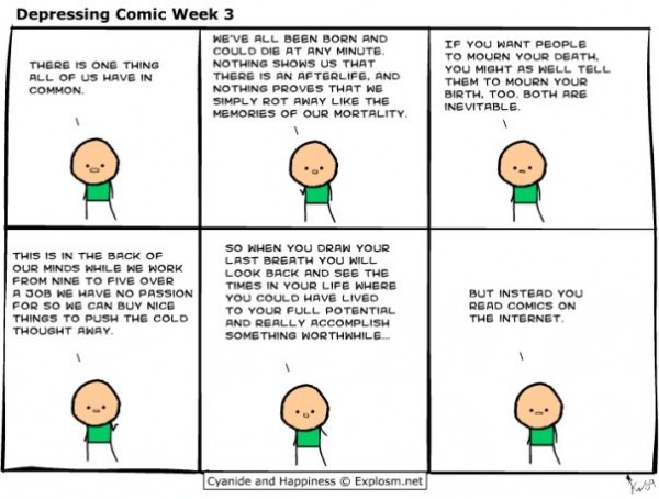 strip6