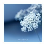 snowflake
