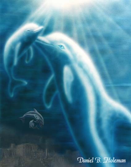 dolphins