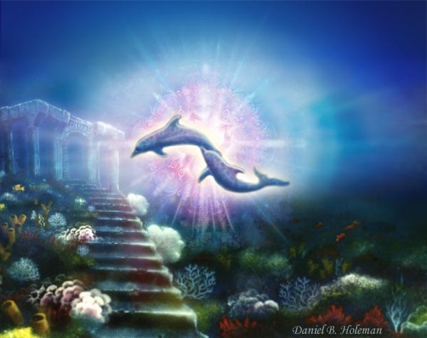 danielholemandolphins