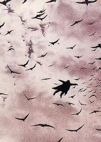 FLYFLYFLY