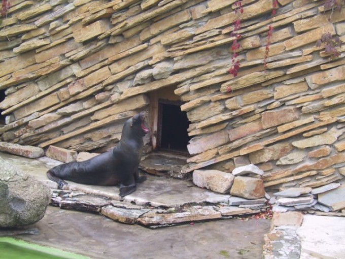 zoo2
