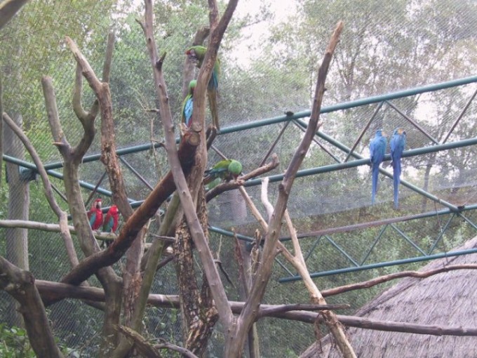 zoo14