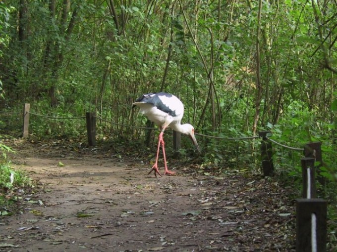 zoo18