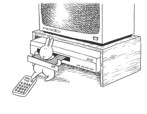 bunny10