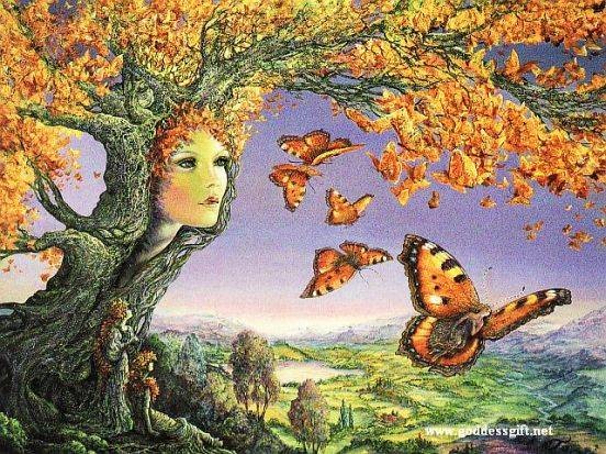 goddess-card-butterfly-tree-jo