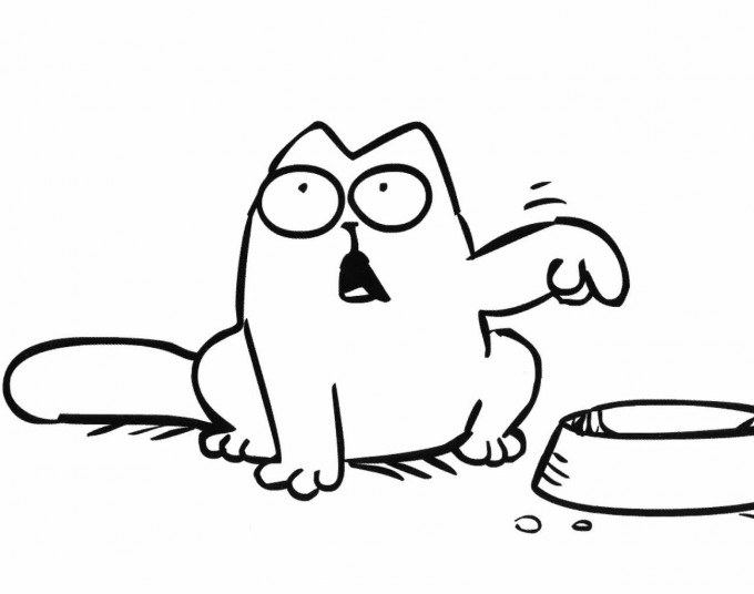 cat4