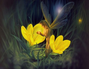 nightharvest