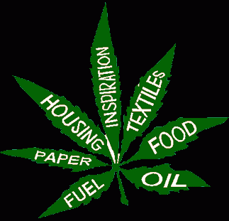 hemp1