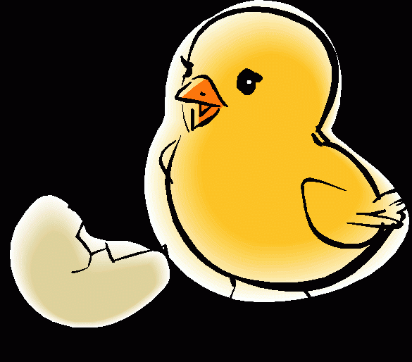 chick__31662_zoom