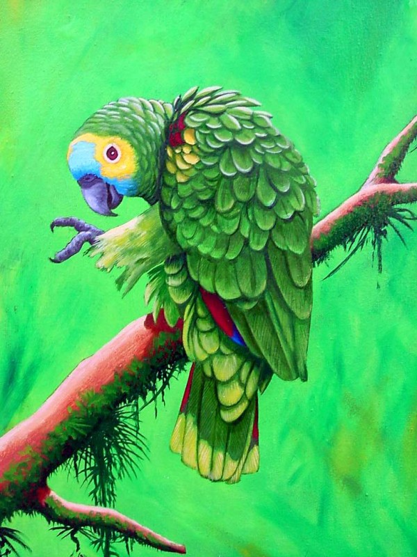 amazon_painting_art