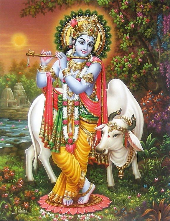 krishna-pz17_l