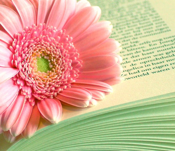 Reading_by_ZoeWieZo