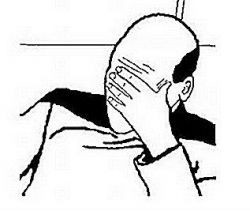 facepalm-meme_250x211