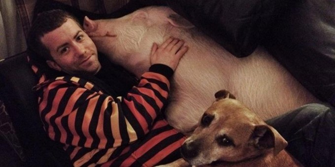 ESTHER-THE-WONDER-PIG-facebook