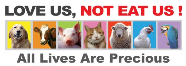Vegetarian Decal.jpg