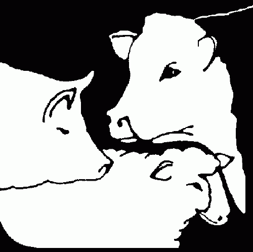 vegetarianism_farmanimals