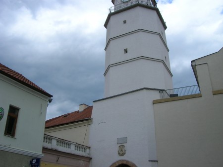 DSCN1980