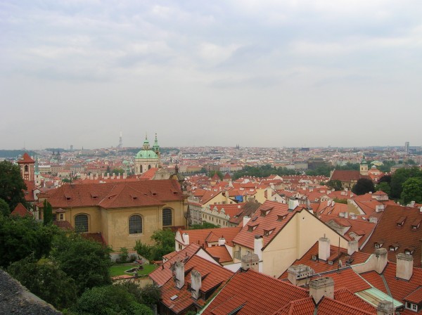 DSCN2020