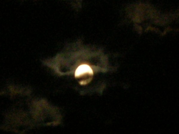 DSCN2060