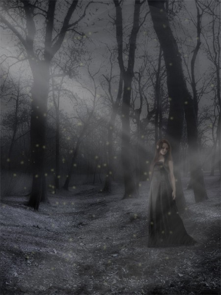 The_Elvenpath_by_Solveta